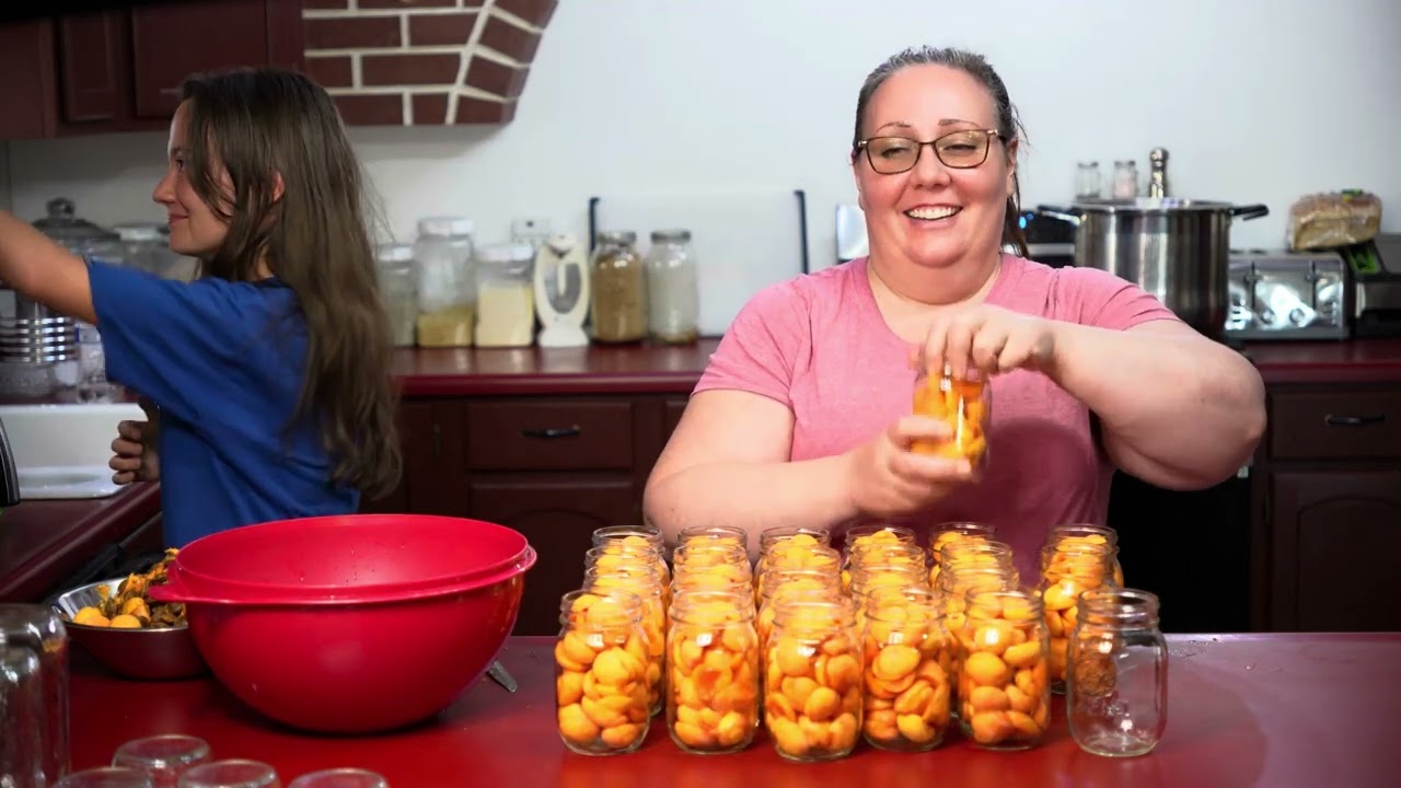 Canning Apricots- Preserving the Harvest