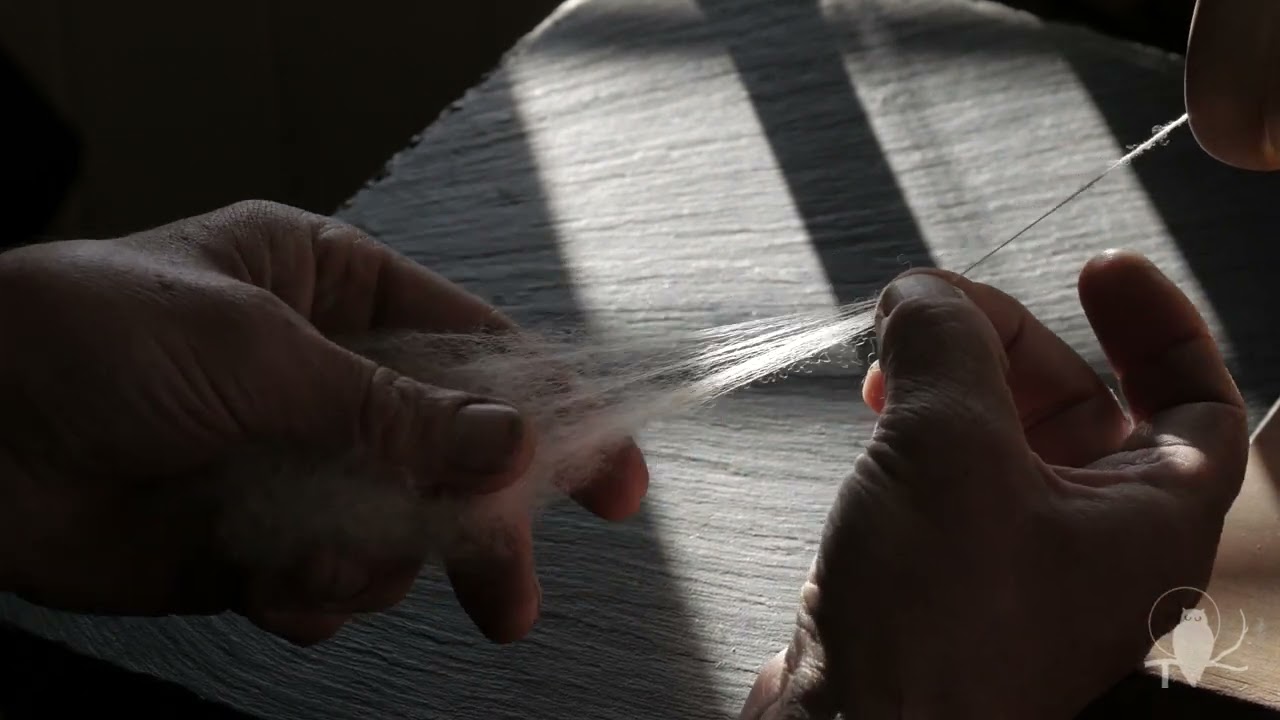 Spinning wool: Teeswater/Cheviot cross