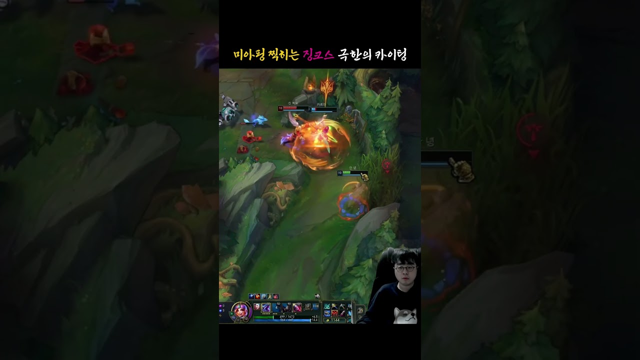 미아핑 찍히는 징크스 극한의 카이팅