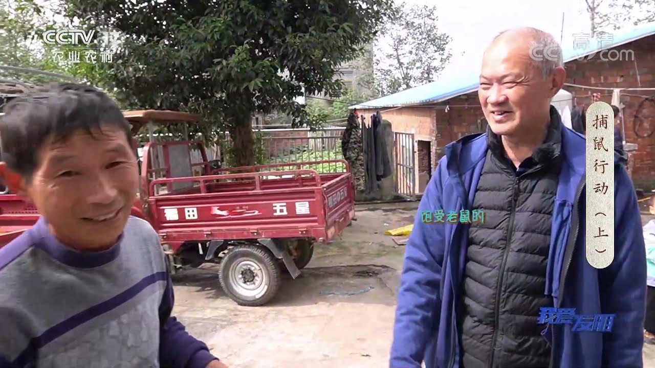 《我爱发明》 20211123 捕鼠行动（上）|农业致富经 Agriculture And Farming