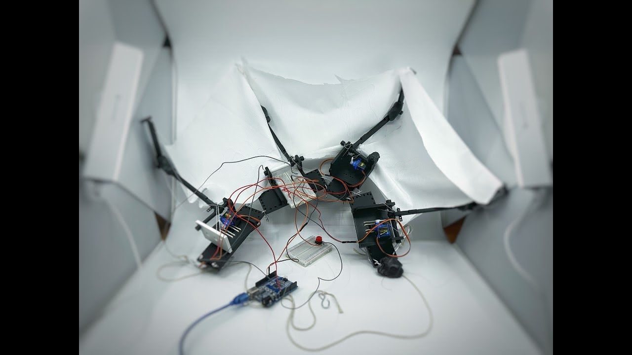 Wearable and Bio-Sensing Interactions