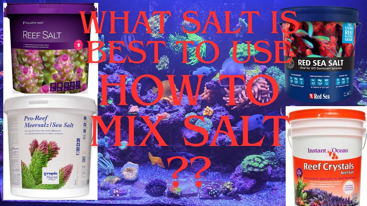 What makes Aqua Forest Salt a preferred choice?