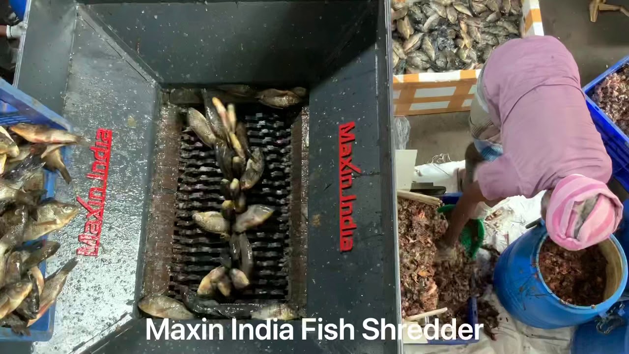 Fish Head Waste Shredding Machine, Fish waste Grinder, Fish waste Crusher, #ShreddingFishHeadWaste