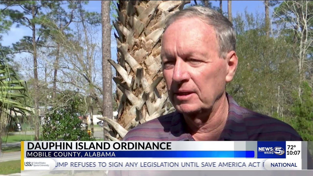 Dauphin Island considers new limits on property development for tree ordinance