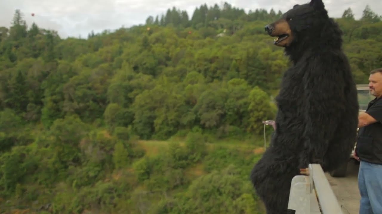 Black Bear Diner Original Commercial