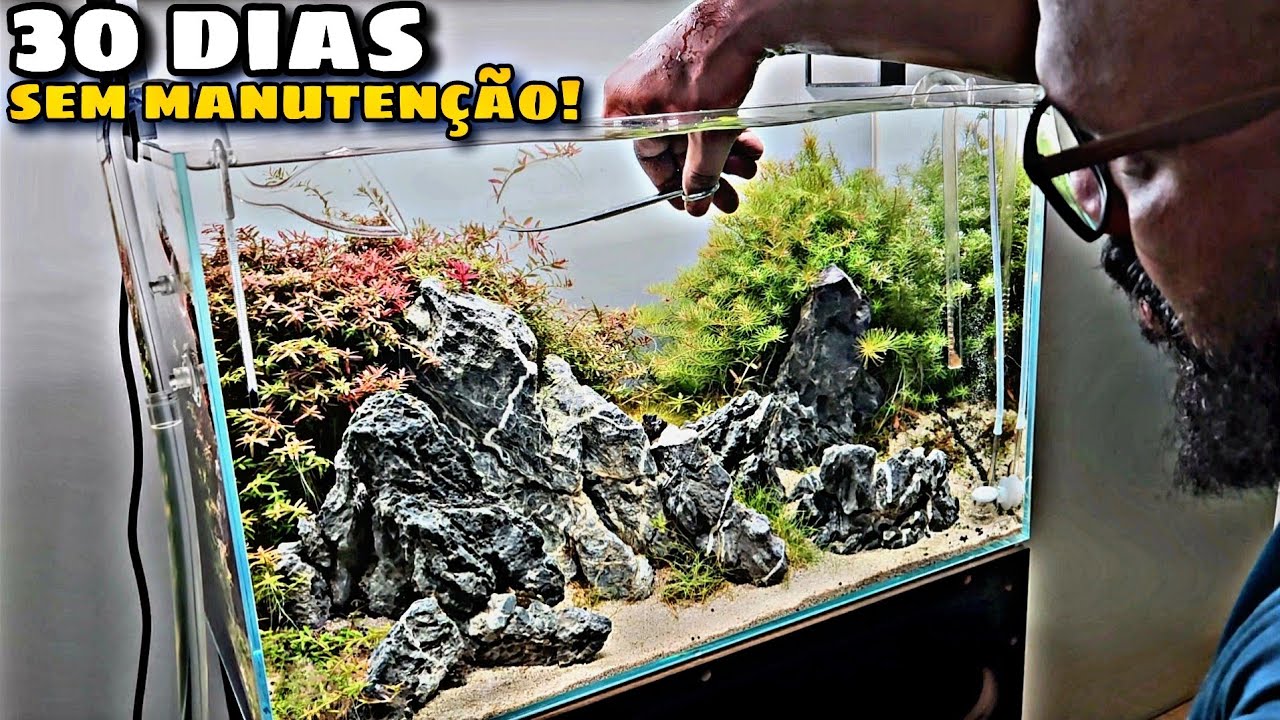 MANUTENÇÃO DE ROTINA NUM AQUÁRIO PLANTADO DE ALTA DEMANDA