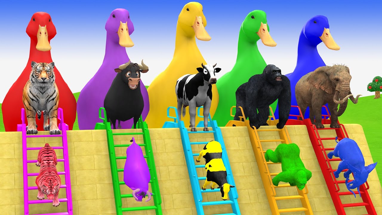 Long Slide Game With Cow Elephant Gorilla Hippopotamus Tiger 3d Animal Game Funny 3d Animals