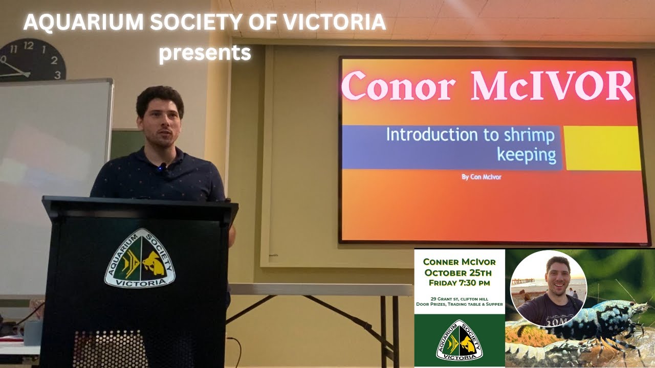 Shrimp Keeping with Conor McIvor, Aquarium Society of Victoria presentation.