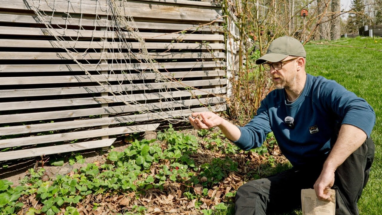 GÖDSLA RÄTT - så kommer din trädgård ge bästa skörden någonsin