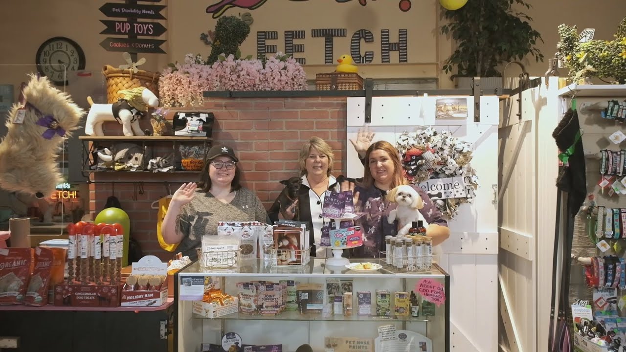 Santa Maria's That's FETCH! offers pets a unique, individualized grooming experience.