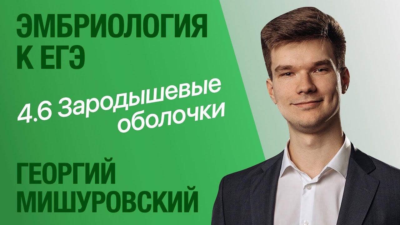 4.6. Зародышевые оболочки | Цитология к ЕГЭ | Георгий Мишуровский