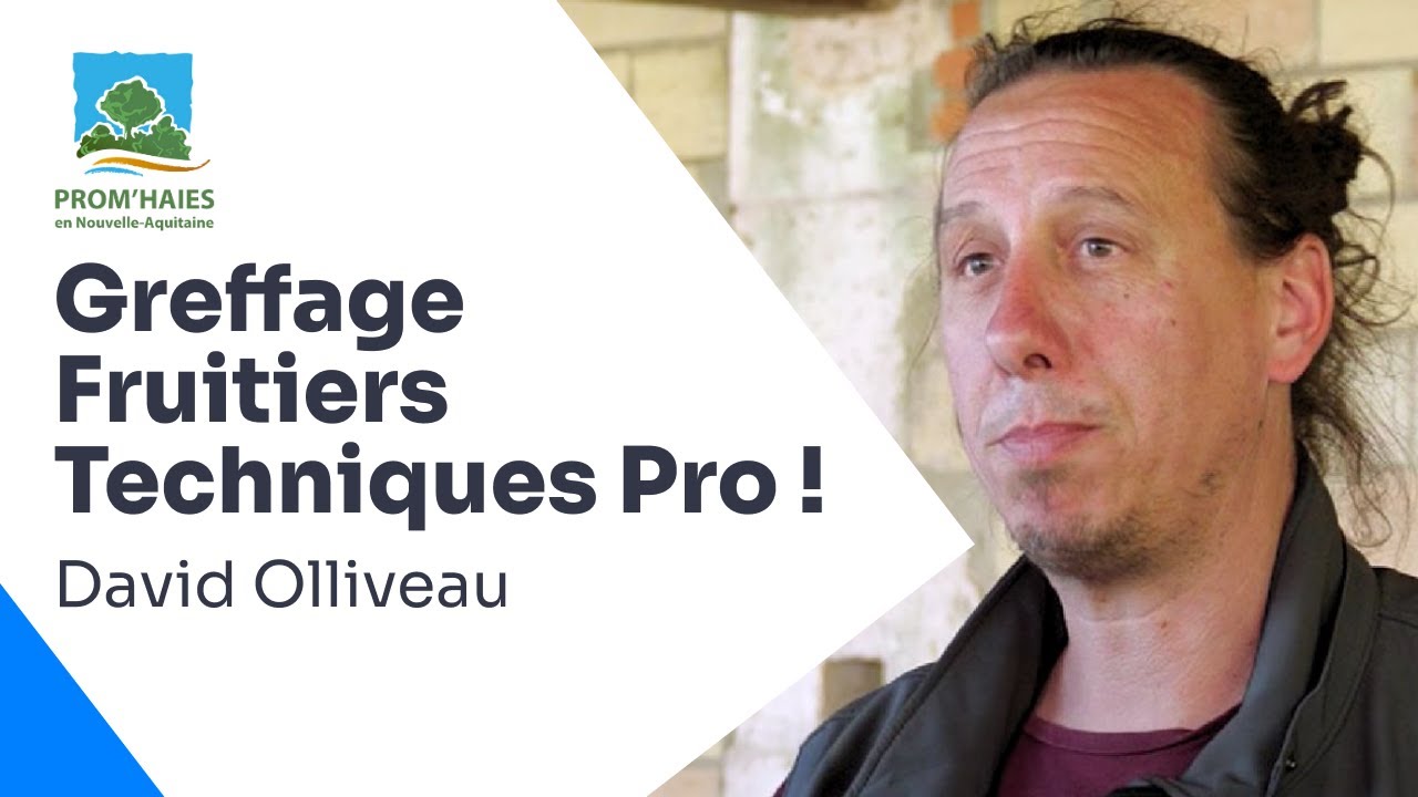 Greffage d'Arbres Fruitiers : Techniques, Vari&eacute;t&eacute;s et Projets Durables avec l'Association Prom'Haies