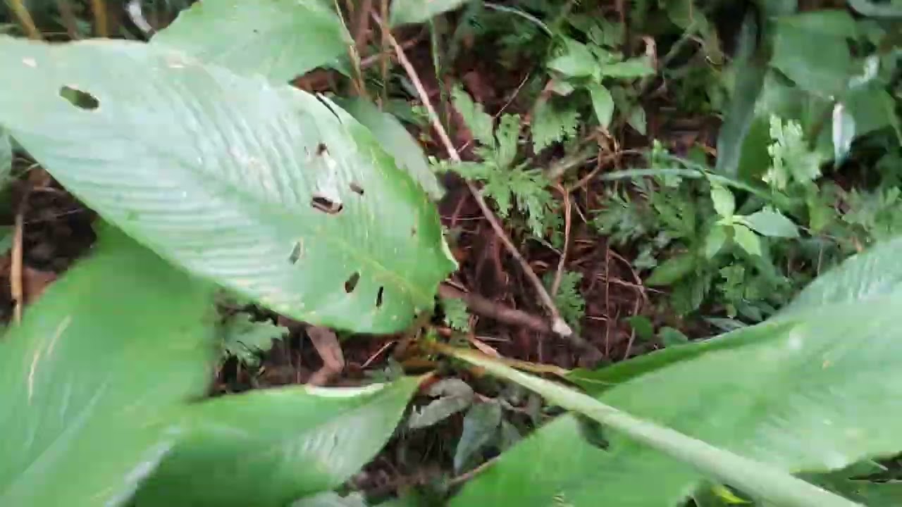 27 de fevereiro de 2026