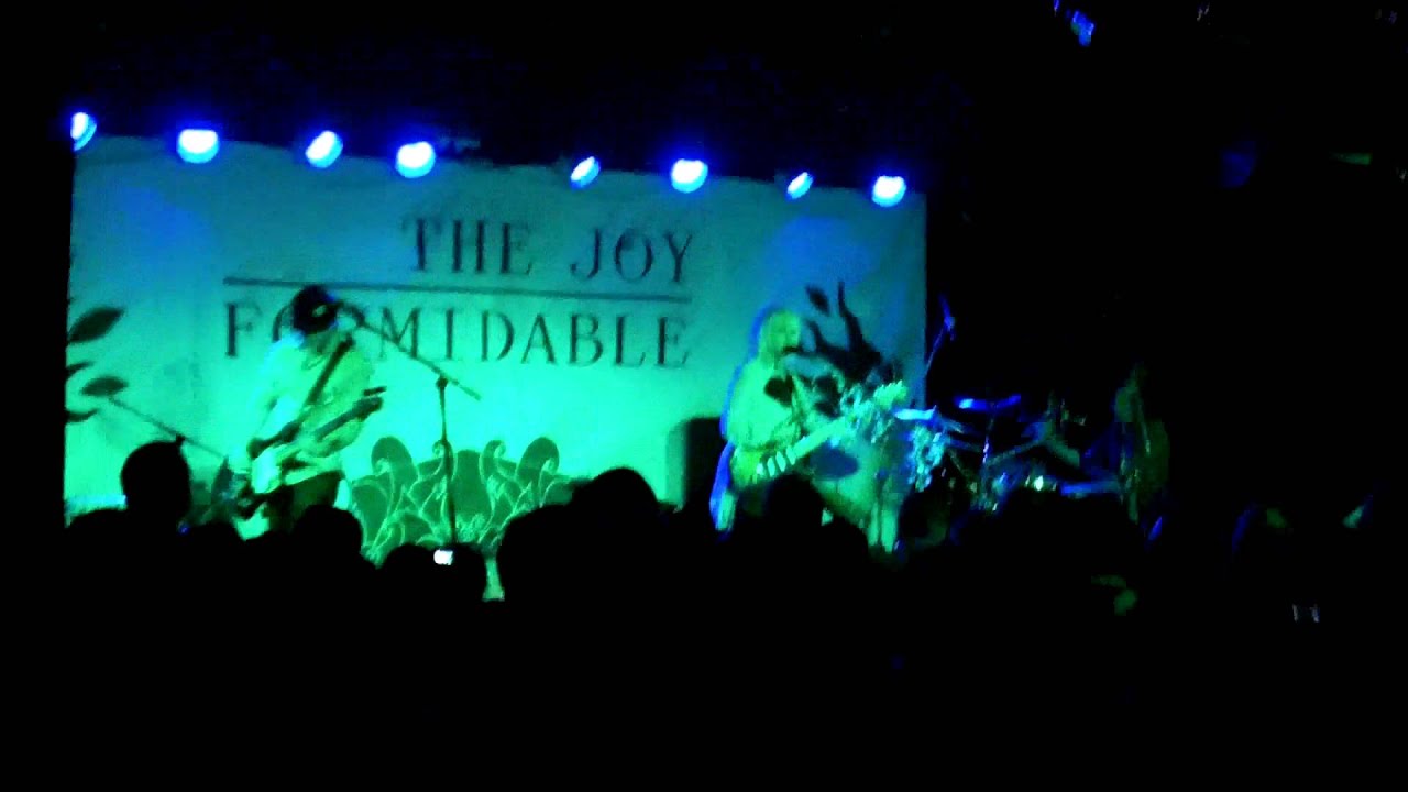 The Joy Formidable While the Flies