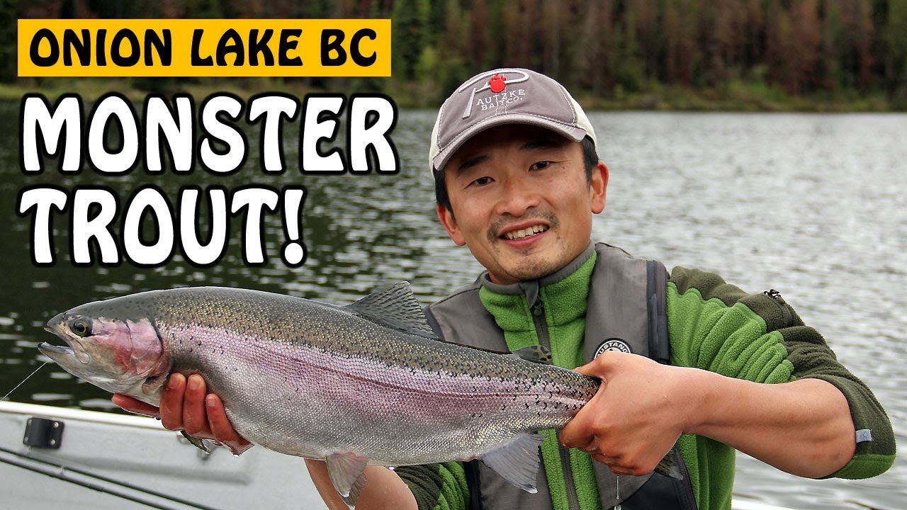 MY BIGGEST RAINBOW TROUT EVER! JUNGLE MONSTER TROUT | FISHING WITH ROD