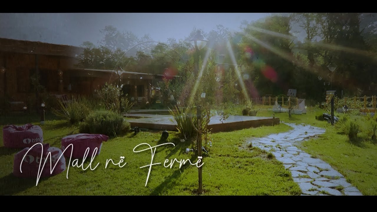 Mall n&euml; Ferm&euml; - K&euml;ng&euml; | Ferma VIP 2 - Vizion Plus
