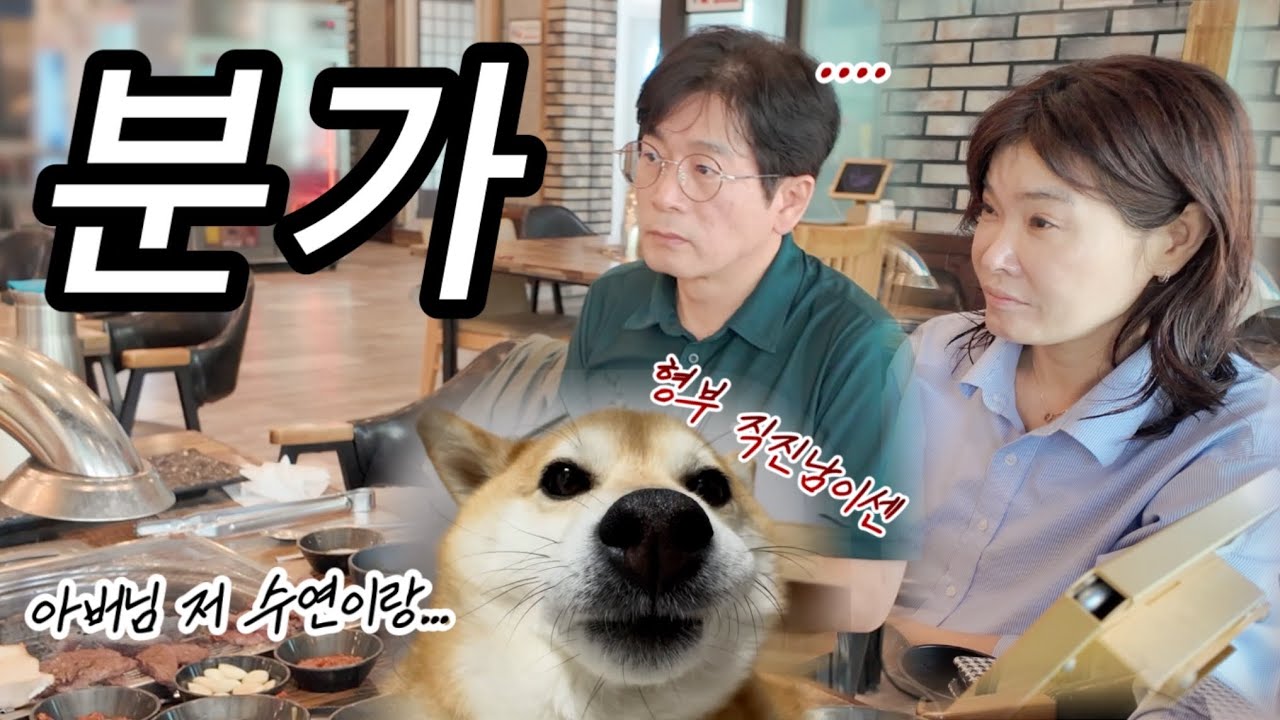 “저희… 같이 살아도 되나요?” 남자친구가 직접 혼전 동거 선언한 날 💣(+싱크100% 옥지 쿠션, 오랜만의 옥버지 산책로그)