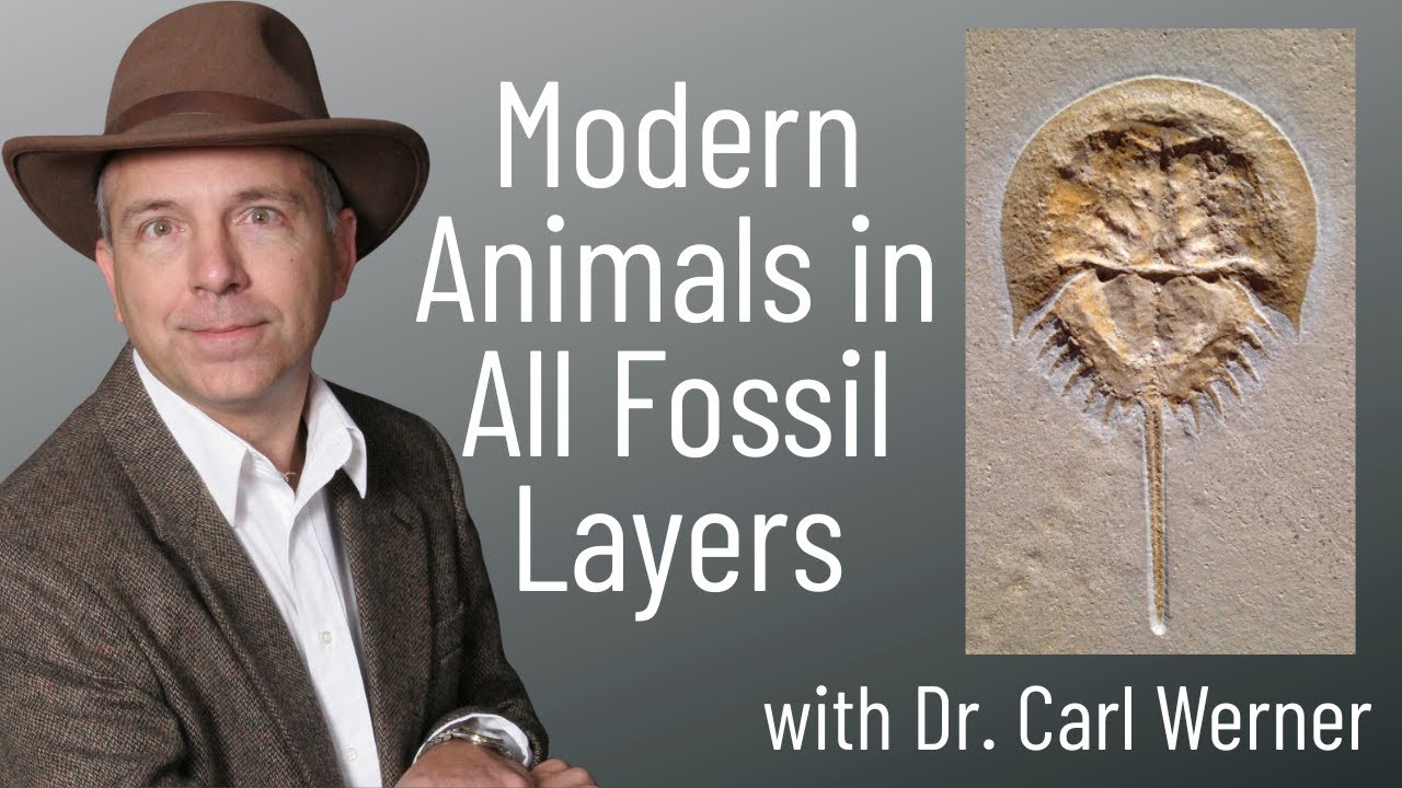 Modern Animals Found Throughout the Fossil Record:   Dr. Carl Werner