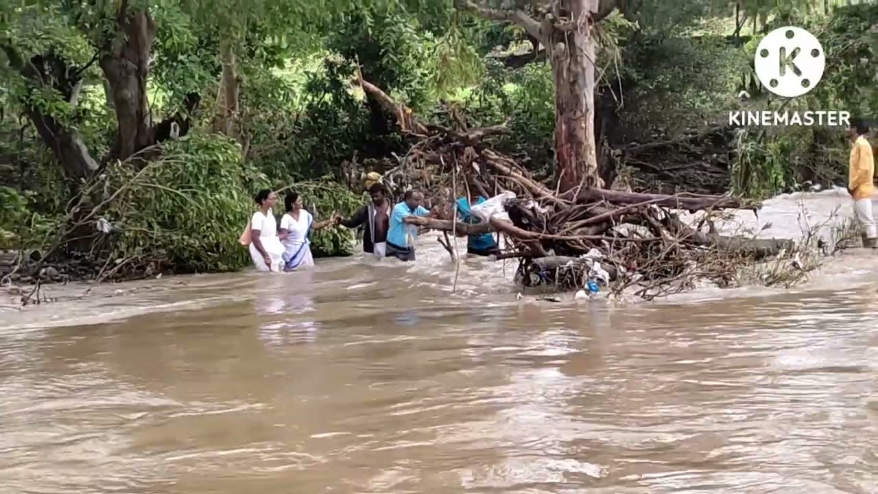 Inderveli Mandal mamidiGuda Gramam News  is disi video