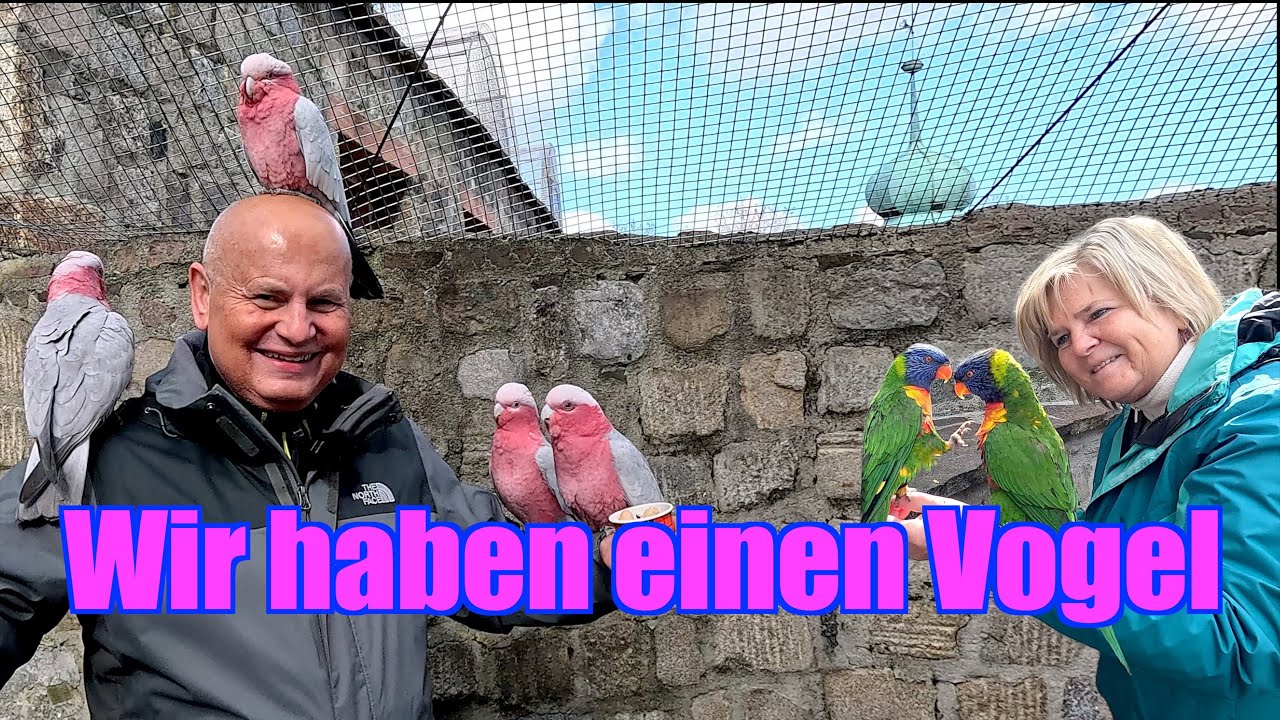 Vogelburg Weilrod in Hessen 🦜