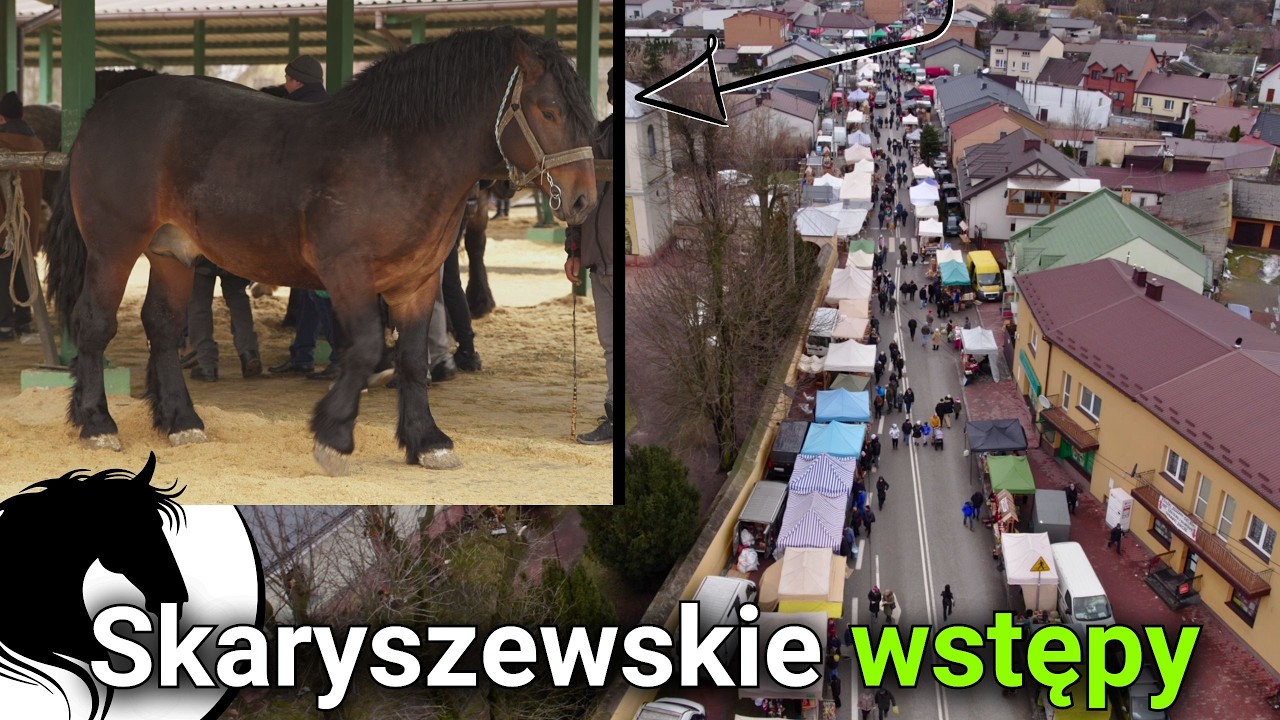 Skaryszewskie wstępy 2026/ Targi końskie