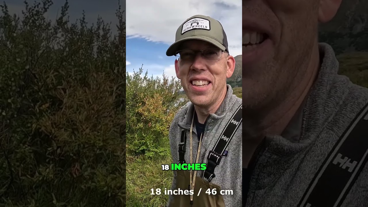 Catching Stunning Arctic Grayling: Fishing Adventure