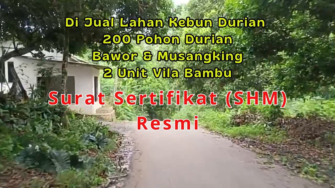 Di Jual Lahan Kebun Durian Bawor, Musangking & 2 Unit Vila Bambu