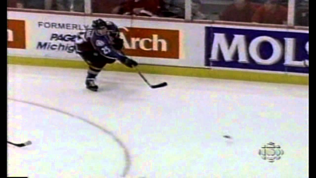 A small sample of Nicklas Lidstrom Defense