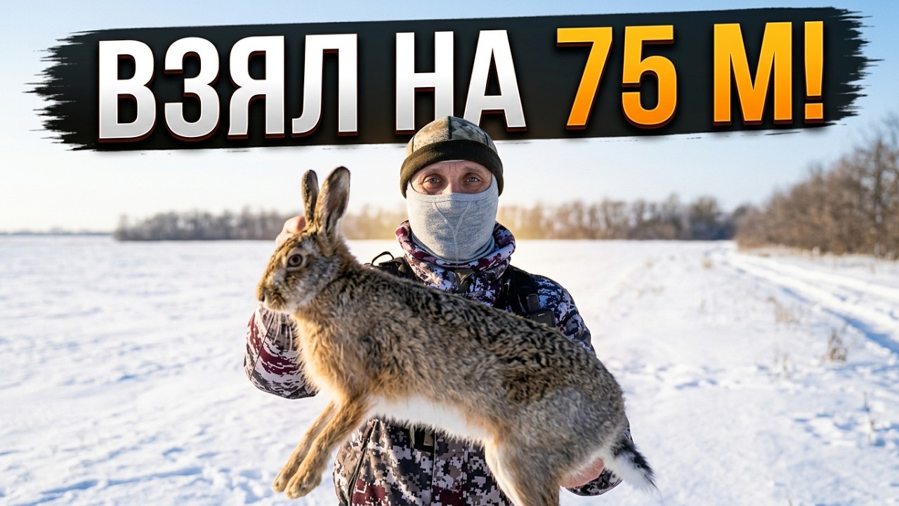 Охота на зайца - Замечательная охота