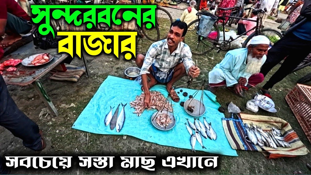 পশ্চিমবঙ্গের সবচেয়ে সস্তার মাছ সুন্দরবন বাজারে। Sundarban Local Market and Fish