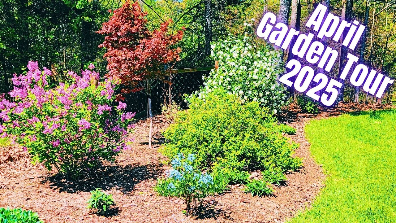 April 2025 Garden Tour | Early Spring Blooms With Plant Names