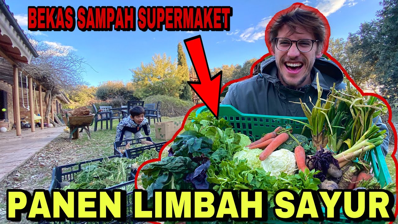 PANEN SAYUR BEKAS SUPERMAKET SPANYOL