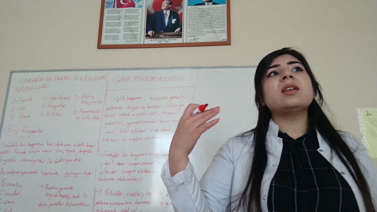 10 GIDA  MİKROBİYOLOJİSİ 2 BÖLÜM