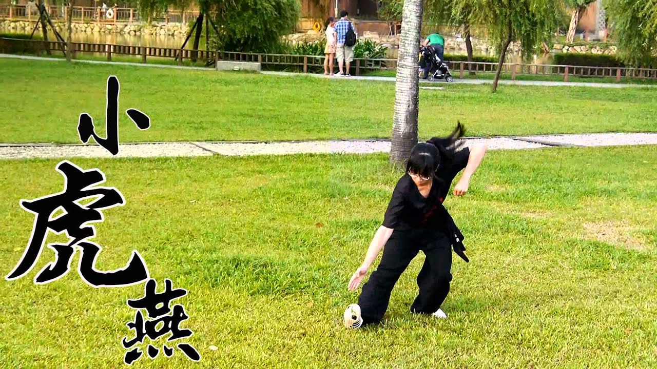 台大國術社 2014 招生影片