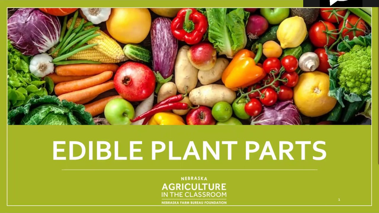 Edible Plant Parts