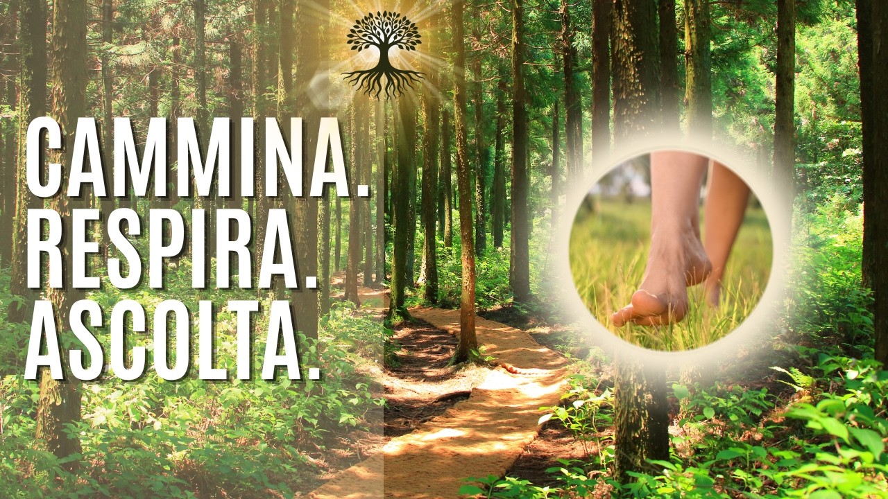 Non guardare: entra! #passeggiatanelbosco #trasformazionepersonale #consapevolezza