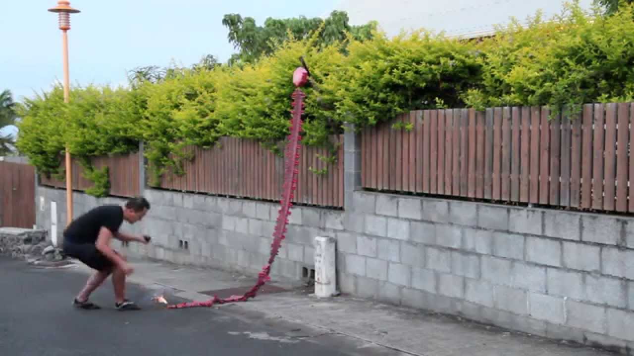 Jour de l'an Chinois !!!