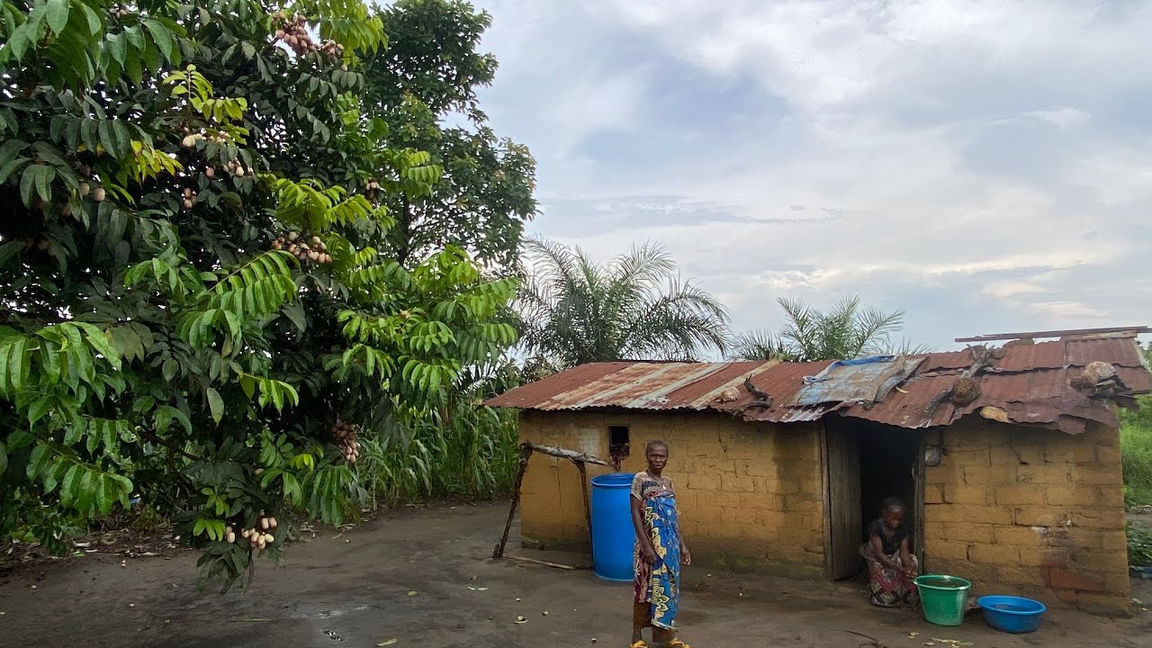03/02/2026 FERME NA MOINS CHER 50/50M NA 10 HECTARES NA CITÉ IMPURU Q/BU C/MALUKU 📞+243996527894
