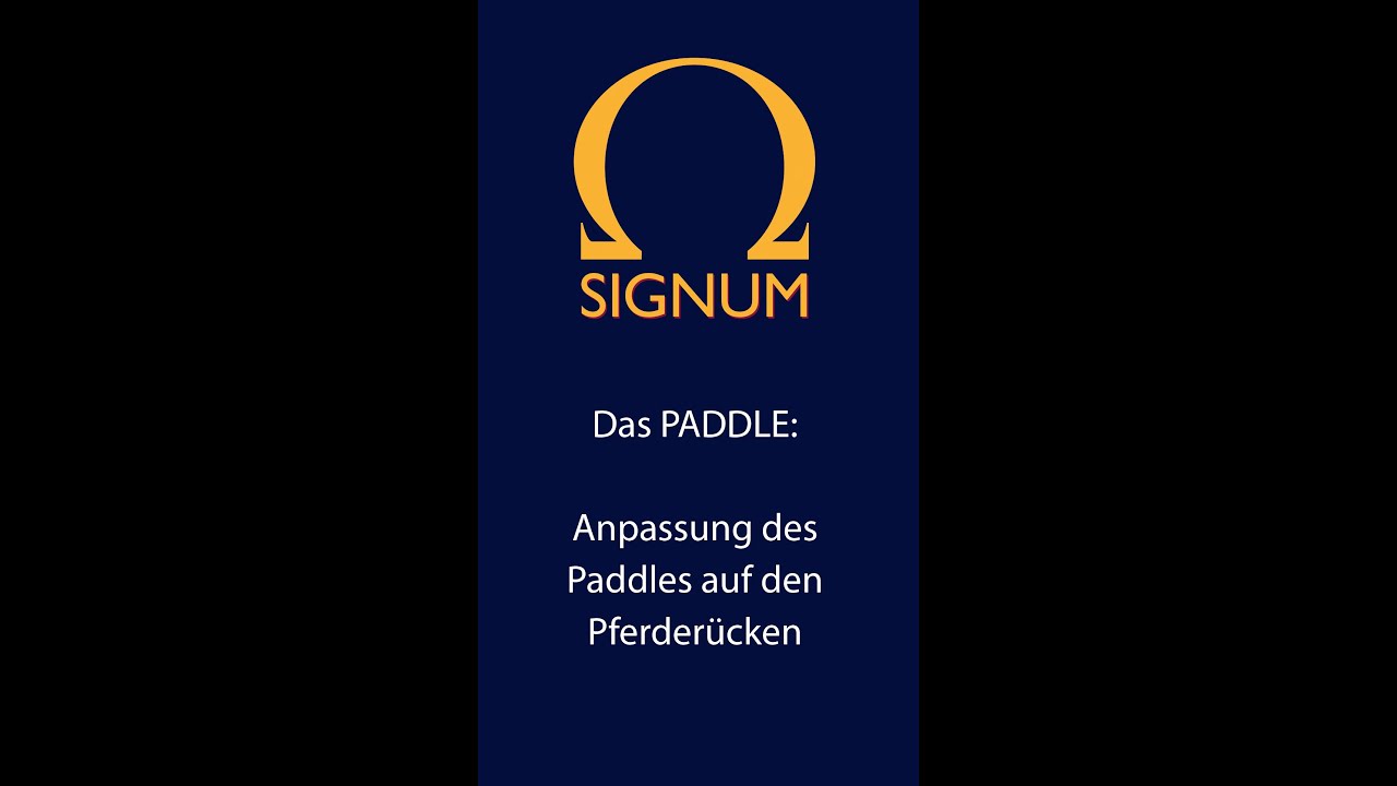 Anpassung vom SIGNUM Paddle