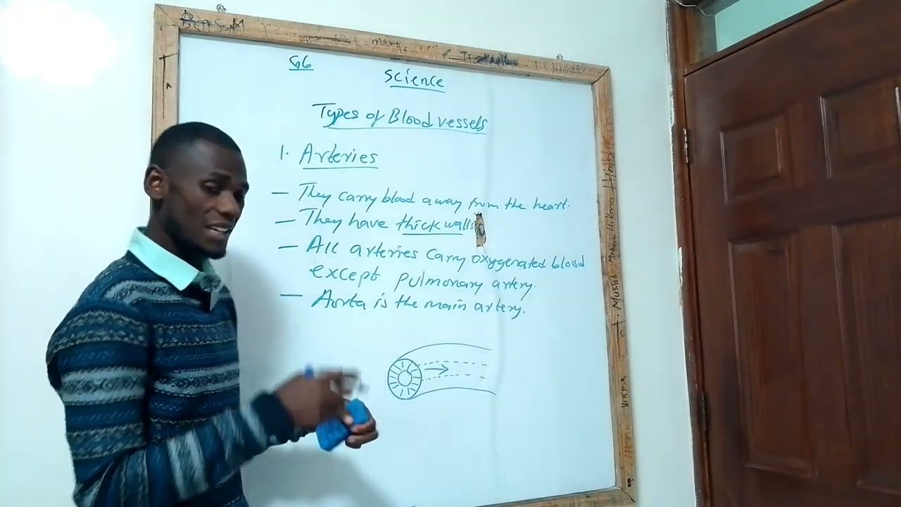 Grade 6 Science and Technology: Blood Vessels and Components of Blood 