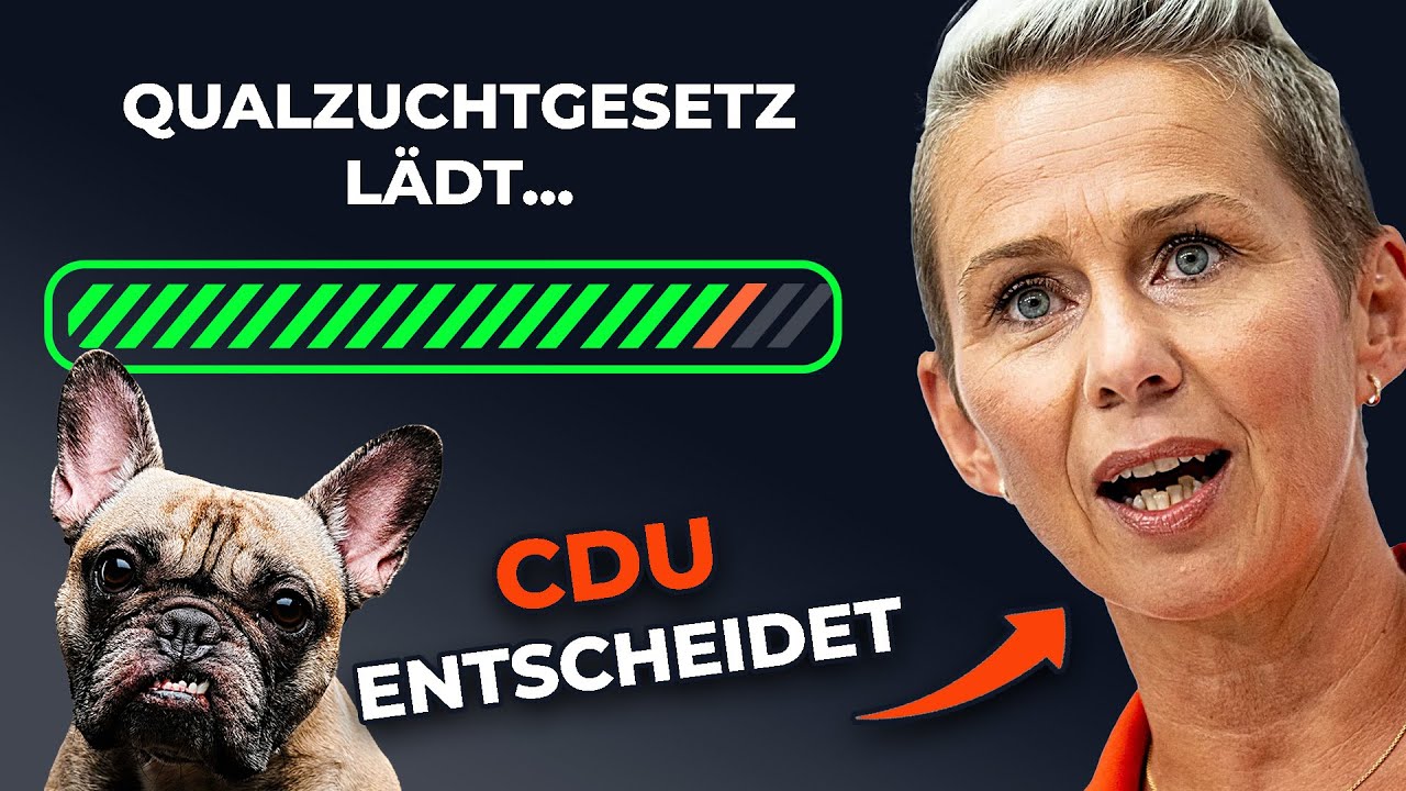 CDU vs Qualzuchtverbot