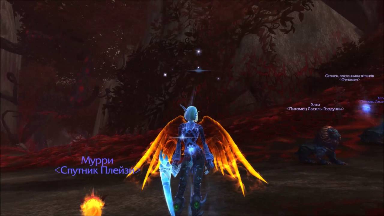 Fenomen - Dragons & Ursoc (in 2th attempt) Heroic Kills on 13.10.2016