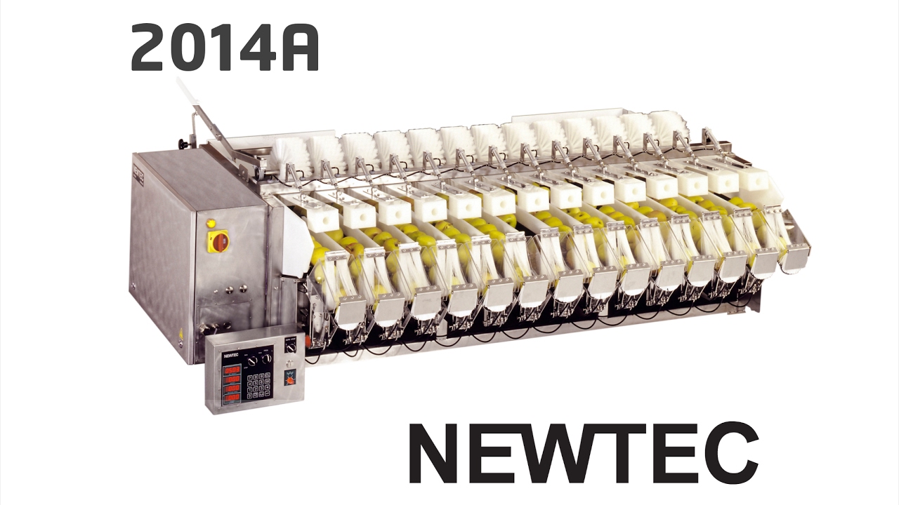 Newtec Weighing Machine, model 2014A PCS-NBM45AL-Slide
