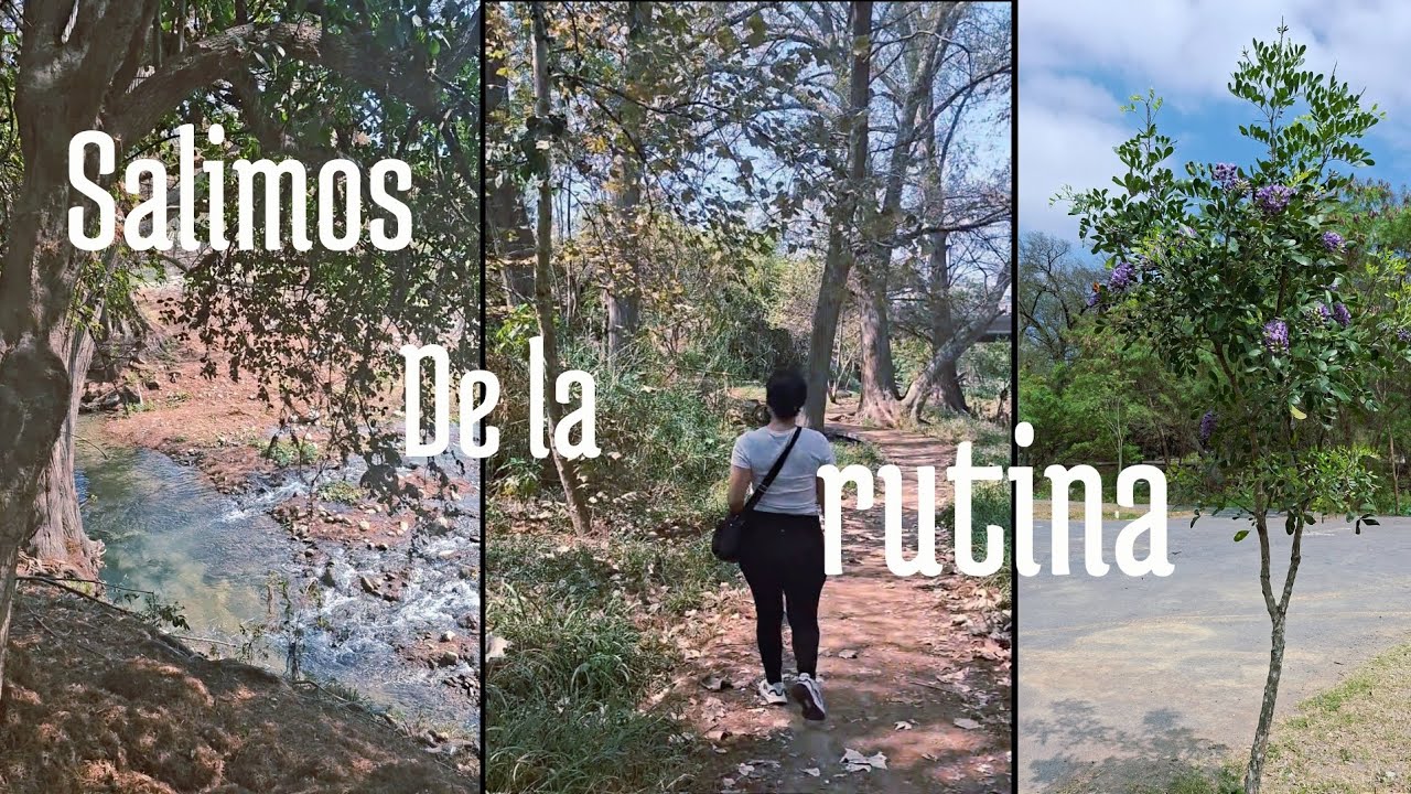 VISITAMOS  PARQUE TOLTECA 🦆/ en Guadalupe Nuevo León / pequeños arreglos a la sala