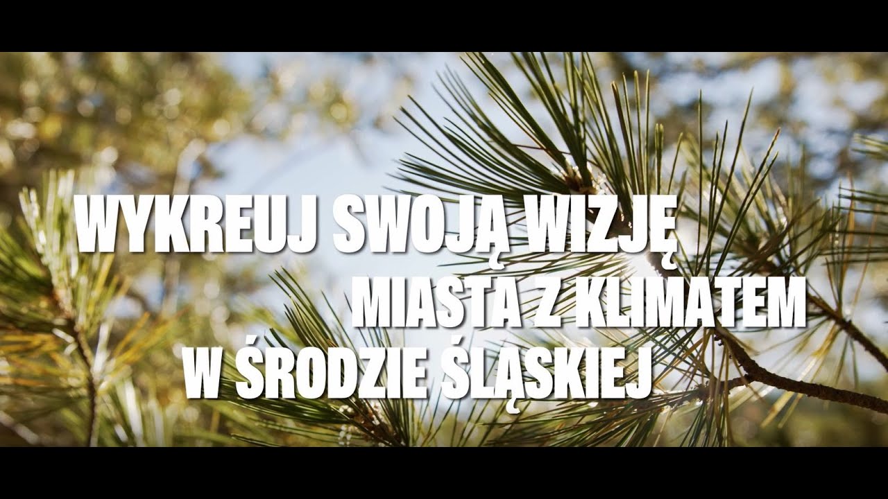 PDD KONKURS Środa Śląska