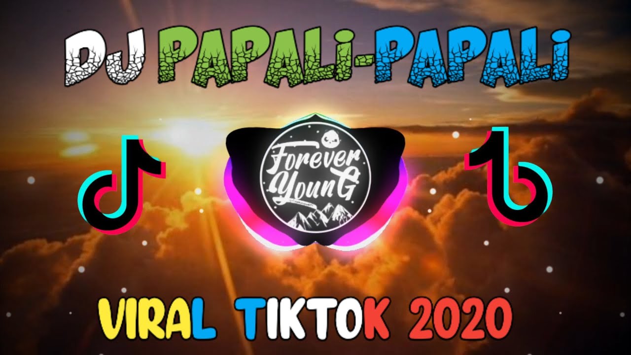 Dj Viral Tiktok | DJ Papali Papali Slow Remix 2020