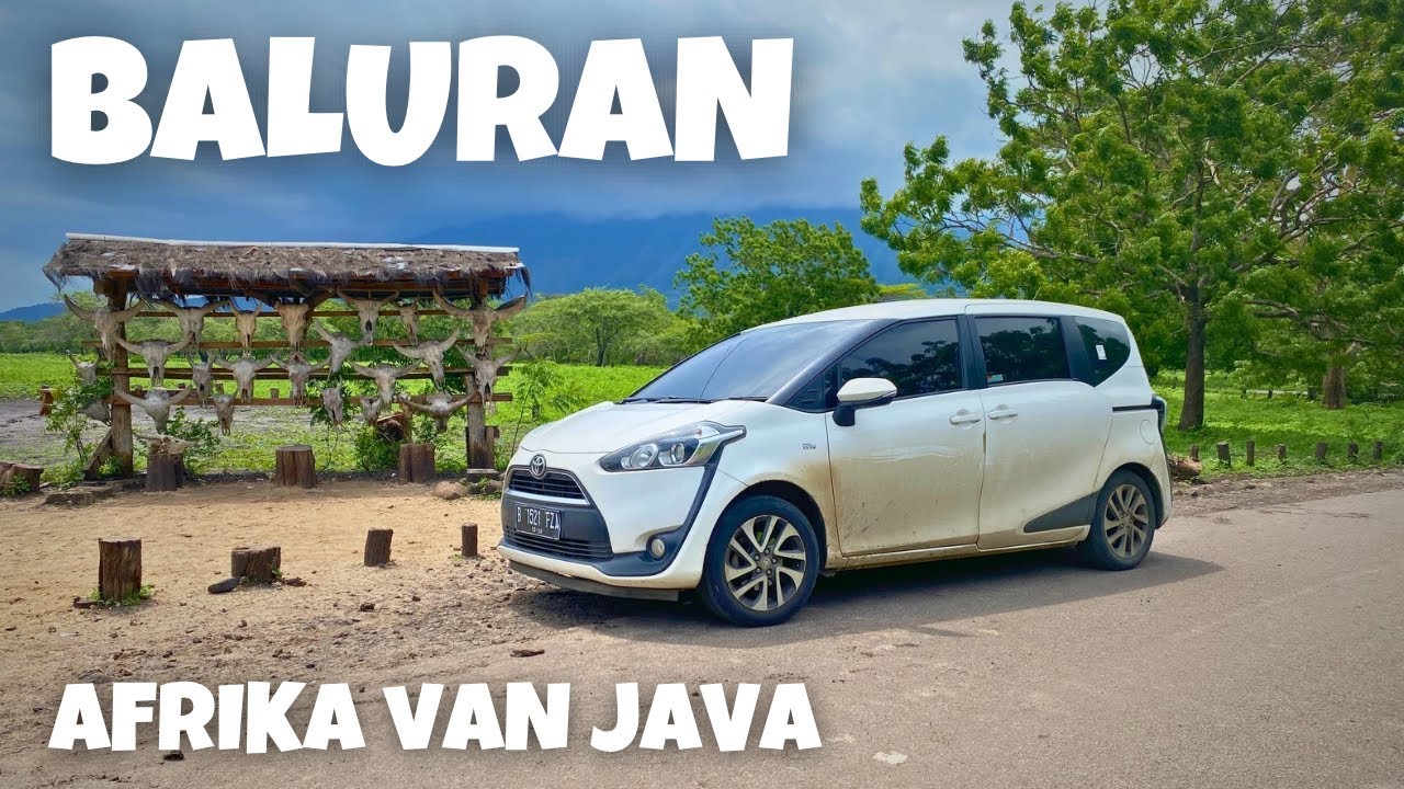 eps31- Ahirnya kesampaian juga mampir ke Savana indah di timur pulau jawa | Taman Nasional Baluran