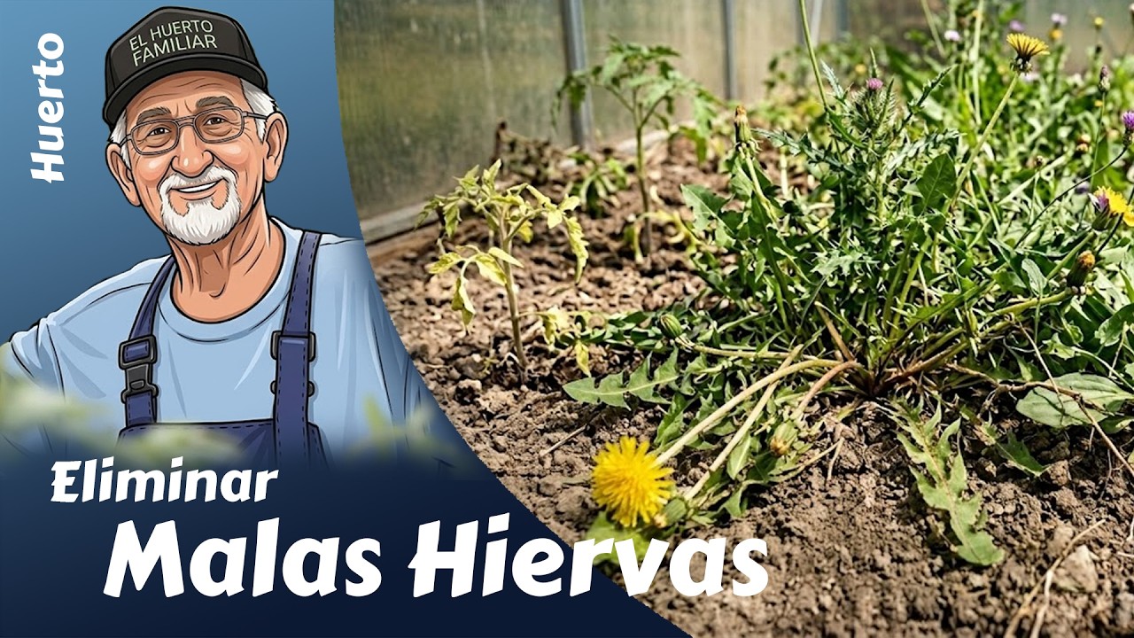 Cómo eliminar las malas hierbas sin utilizar productos químicos