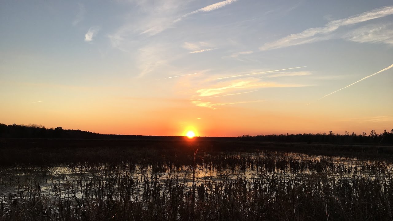 Duck Hunting in South Carolina