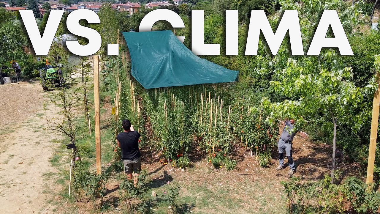 Costruisco la STRUTTURA OMBREGGIANTE e ANTI GRANDINE per l'orto